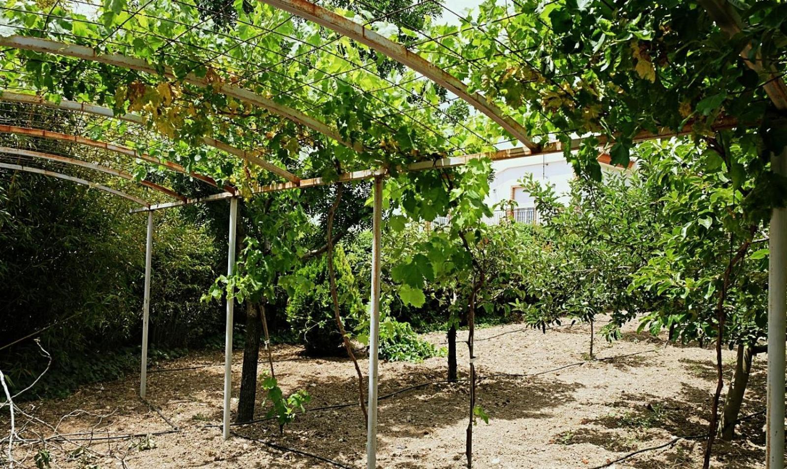 Casa Los Rosales Alfacar Extérieur photo