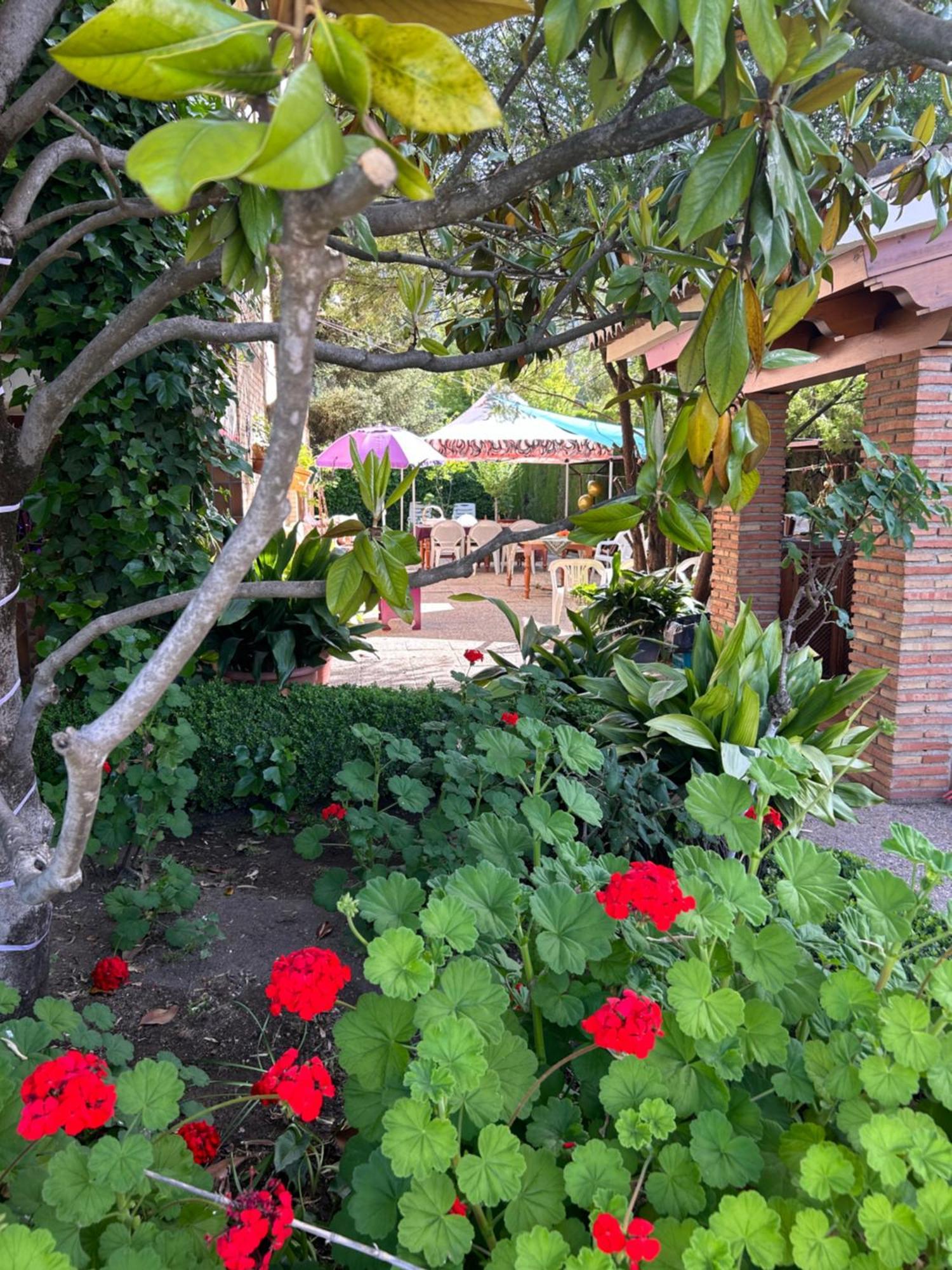 Casa Los Rosales Alfacar Extérieur photo